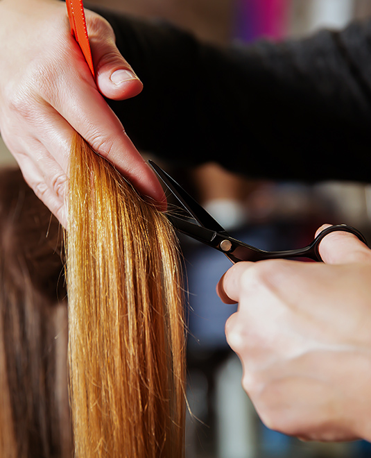 Hot Scissors Haircut Experts Split End Treatment Price